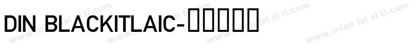 DIN BLACKITLAIC字体转换